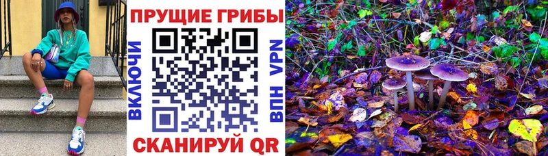 Псилоцибиновые грибы мицелий  Купить где  Усмань 